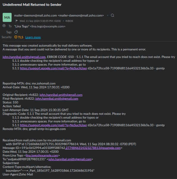 why-do-emails-bounce-ndr-example.jpg