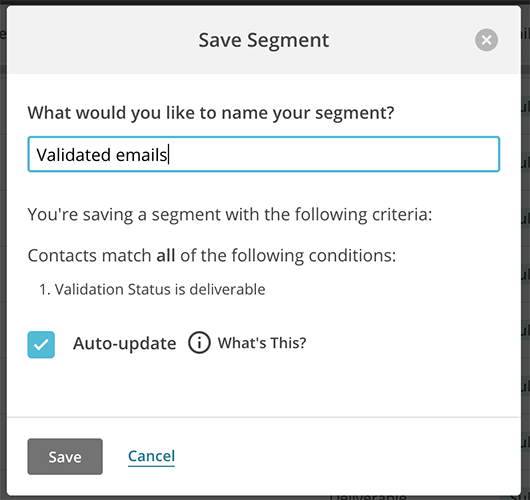 name-your-segment.png